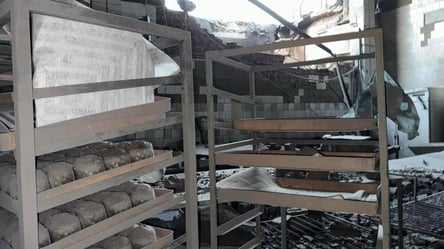 Росія зруйнувала п'яту частину пекарень в Україні - 290x160