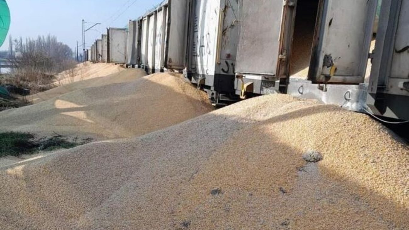 В МВД Польши отреагировали на рассыпание зерна на границе — накажут ли виновных