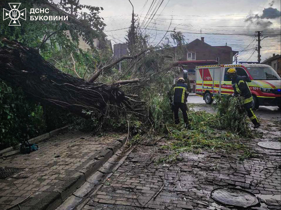 Какой вред нанесла буря в Черновицкой области