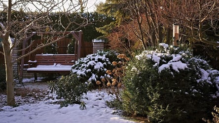 П’ять небезпечних дій у саду після промерзання ґрунту - 285x160