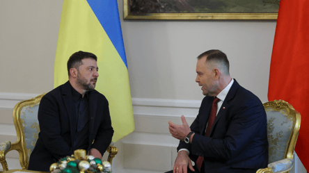 Навроцький оцінив візит Зеленського до Польщі — деталі - 290x160