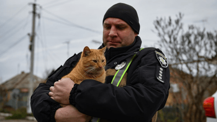 Правоохранители показали, как помогают животным в Орехове - 285x160