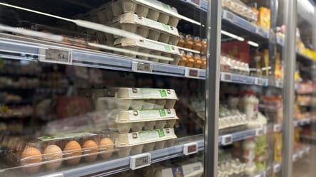 Цены не понравятся потребителям: сколько стоят яйца в Украине - 285x160