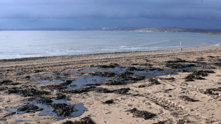 Европа выделила средства на восстановление Черного моря — сколько - 290x166