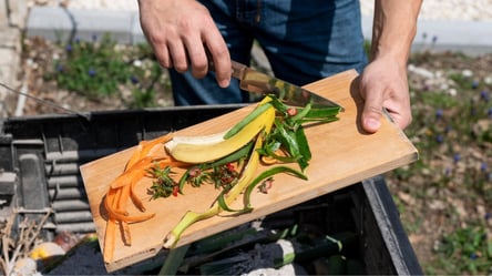 Безкоштовне добриво з відходів — простий спосіб для городників - 285x160