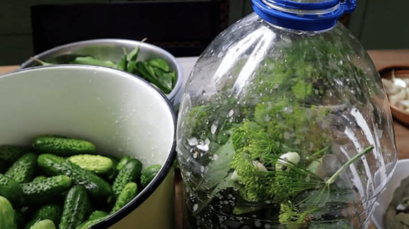 квашені огірки в пятилітрових пляшках