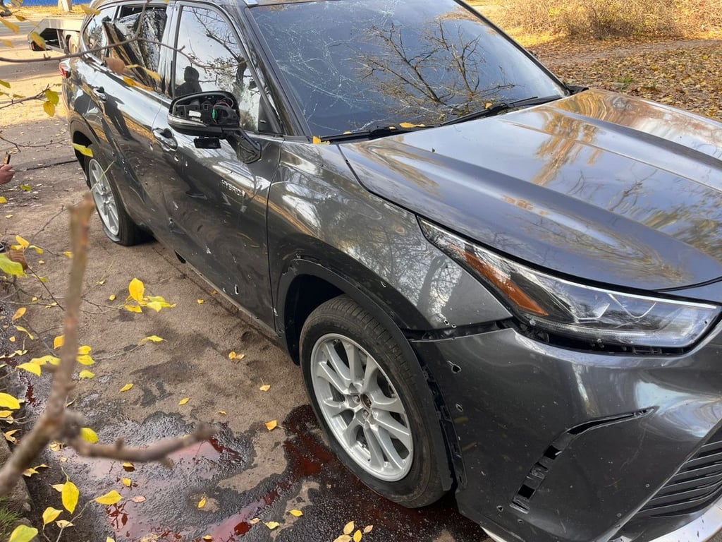 Атака на Нікополь 15 листопада