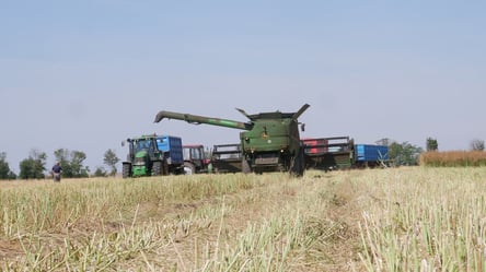 Як змінився ринок зерна у лютому — оновлені ціни на ячмінь - 285x160