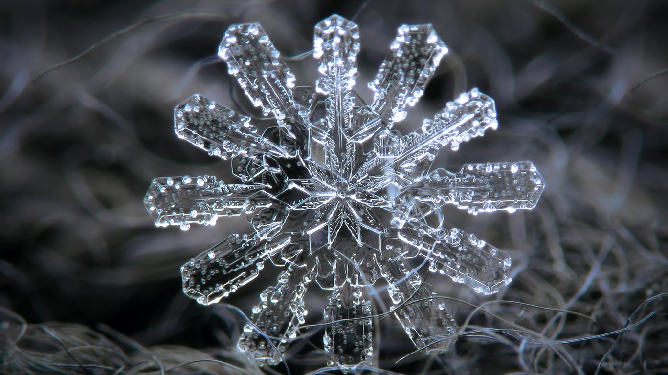 Який вигляд мають сніжинки під мікроскопом насправді — неймовірні фото