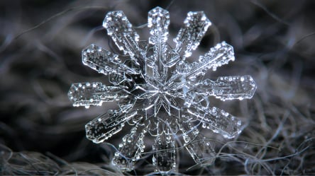 Вот как выглядят снежинки под микроскопом на самом деле — зрелище вас удивит - 285x160