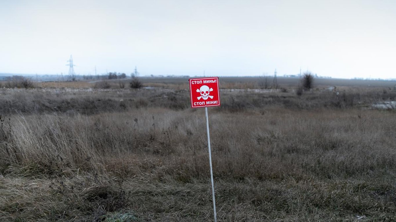 Херсонщина: на российской мине подорвался мужчина