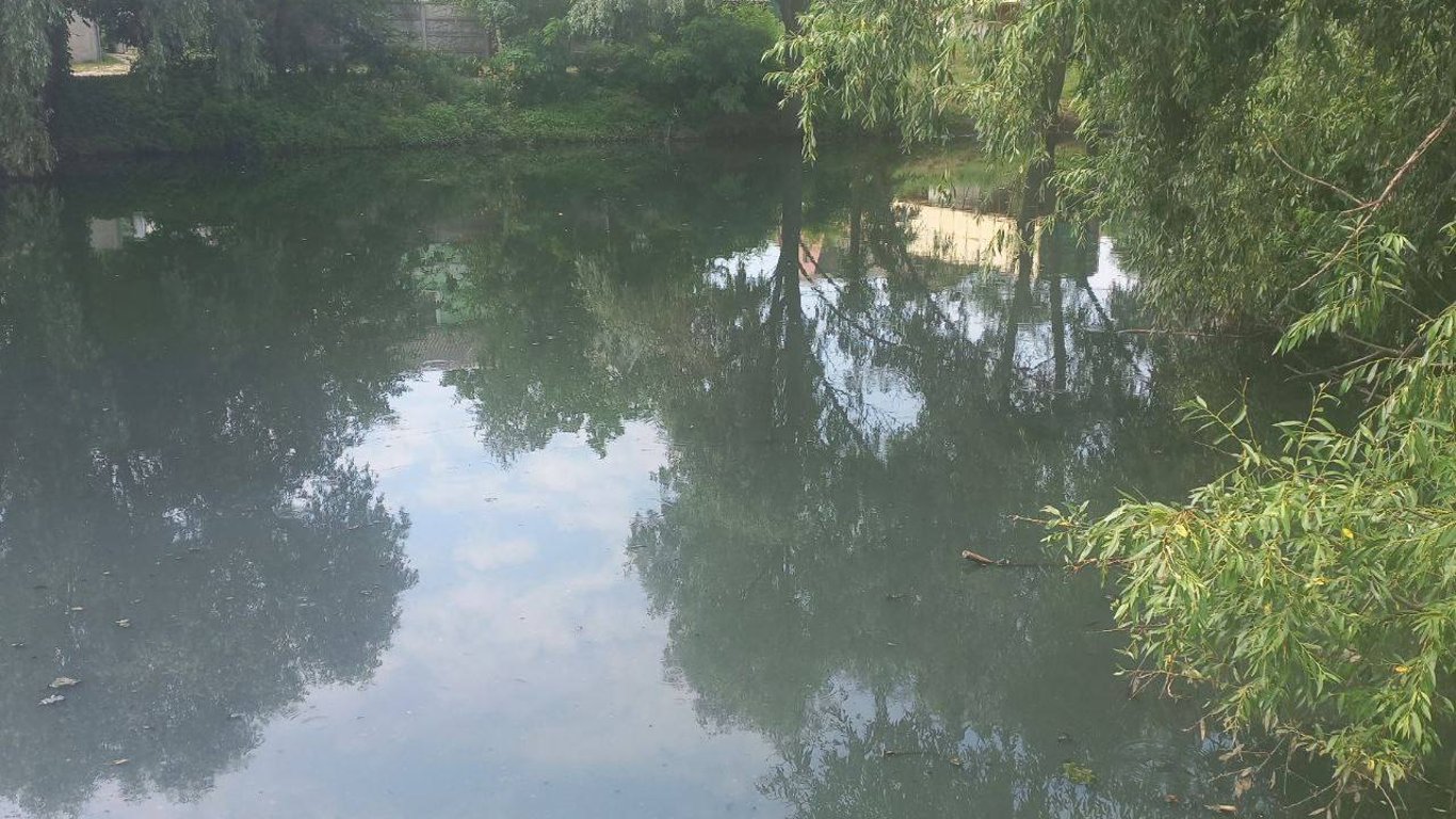 Під Києвом ставок перетворили на вигрібну яму: екологи показали фото