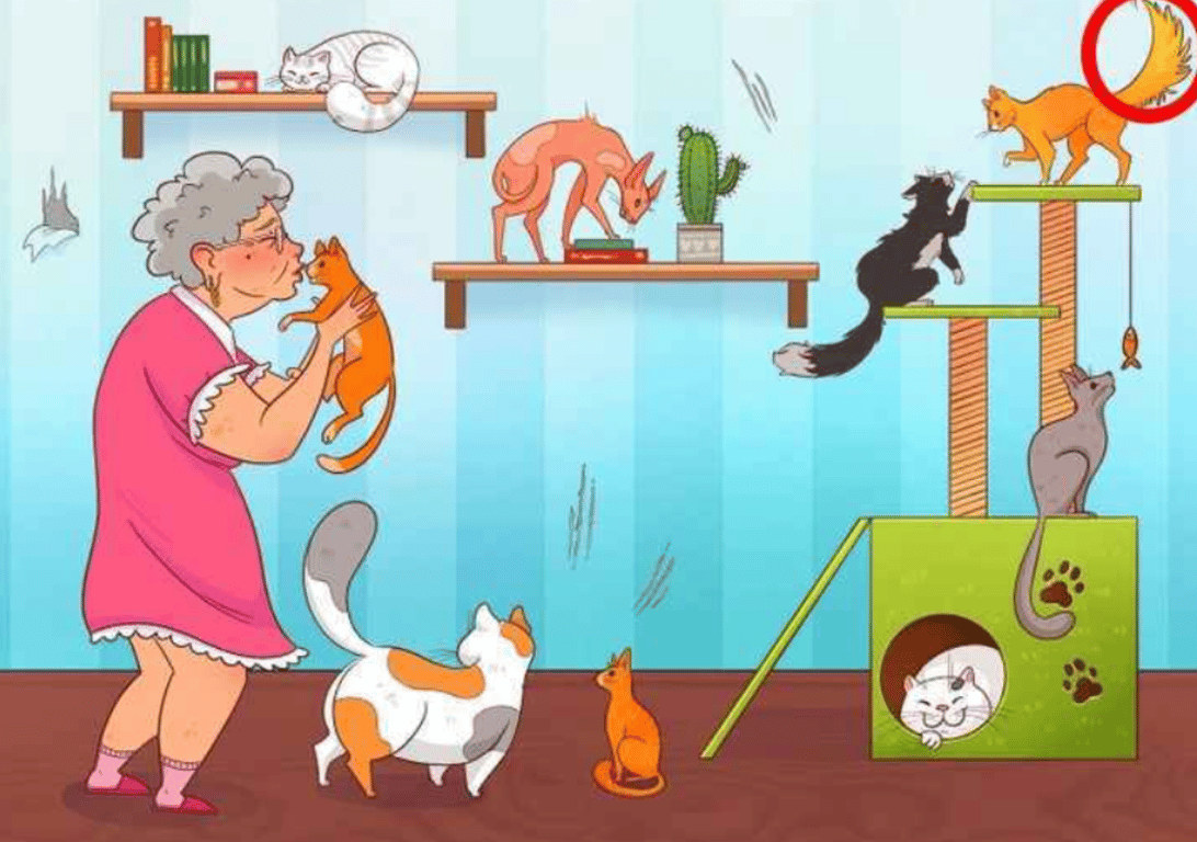 Правильный ответ на оптическую иллюзию