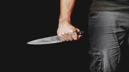 Львів'янин ударив брата ножем у груди — як його покарав суд - 285x160