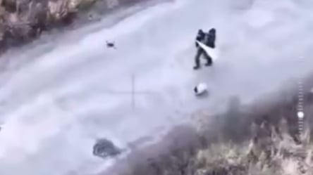 На Харківщині дрон РФ убив двох беззбройних цивільних і собаку - 285x160