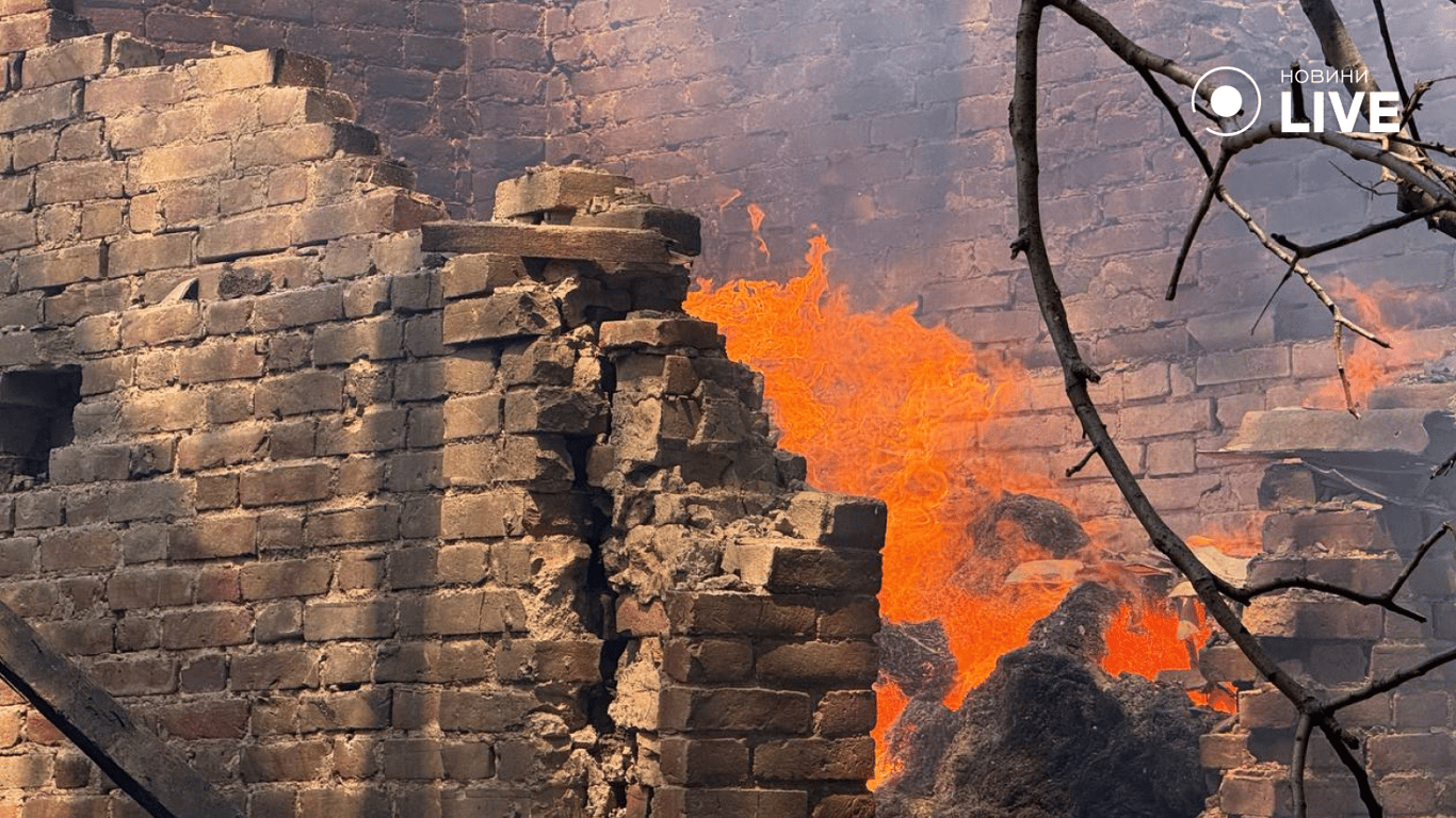 Загиблий кінь та знищене майно — наслідки обстрілу Одеси - фото 2