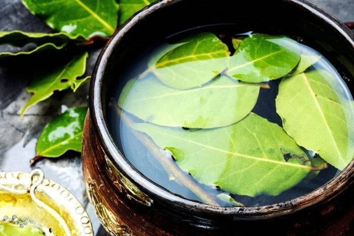 Чем подкормить рассаду для здорового урожая