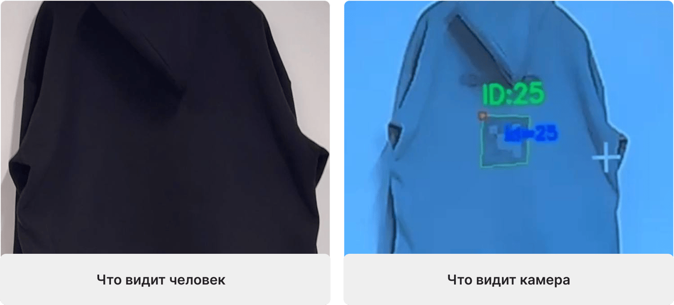 Росіян хочуть маркувати як худобу — помітять спецфарбою - фото 2