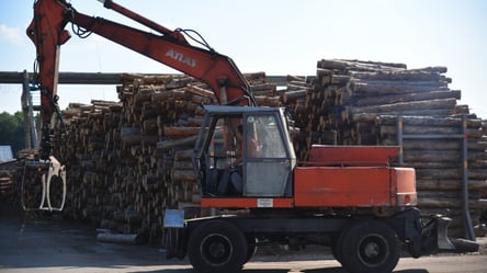 Підготовка до опалювального сезону: ціни на дрова та гранули - 285x160