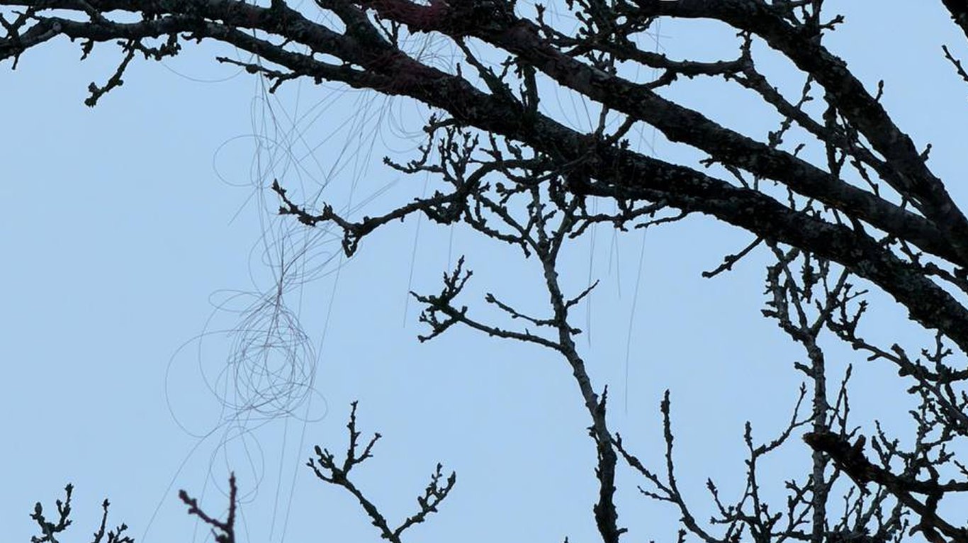 Оптоволокно від FPV-дрону в Харкові
