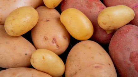 Столичные цены — сколько стоит молодой картофель в супермаркетах - 285x160