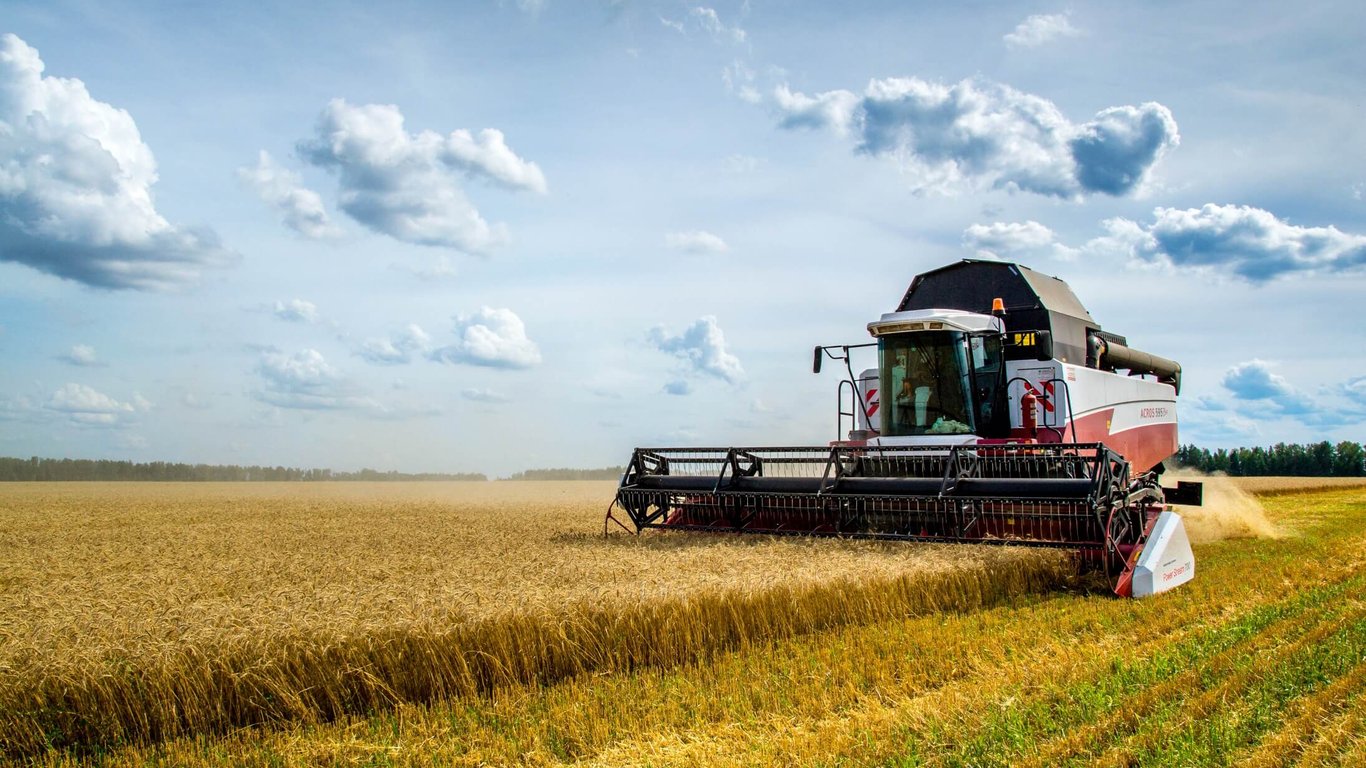 Цены на зерновые в Украине по состоянию на 13 января 2024 года