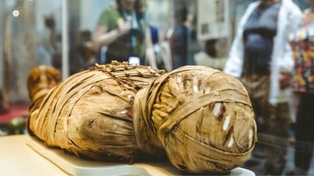 Раскрыт секретный рецепт, подаривший древнеегипетским мумиям вечную жизнь - 290x166