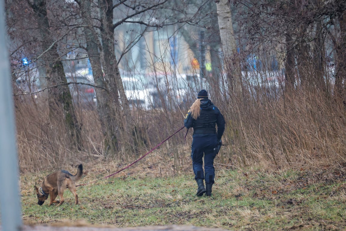 стрілянина у Швеції 4 лютого