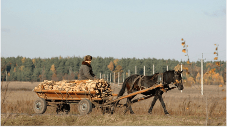 Дрова для отопления — сколько топлива нужно, чтобы обогреть дом - 285x160