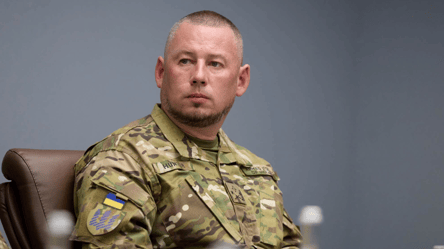 Паліса: планів знижувати мобілізаційний вік до 55 років немає - 290x160
