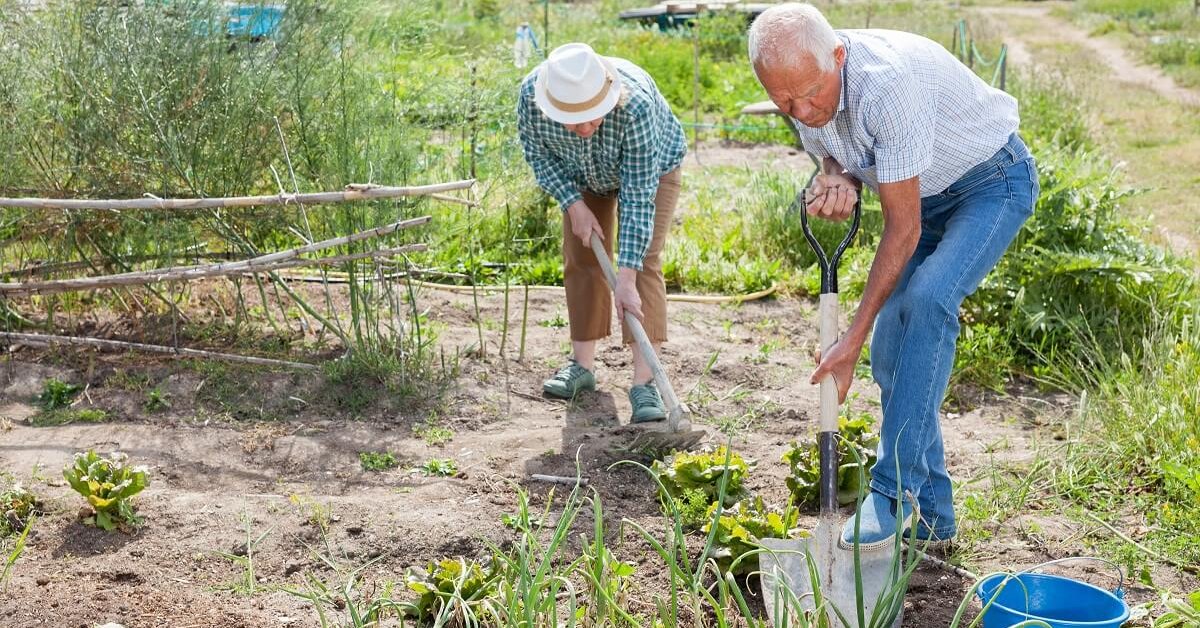 Чи можна працювати на городі та в саду у Страсний тиждень
