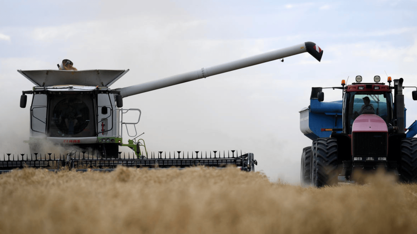 Цены на зерновые в Украине на 22 марта 2024 года