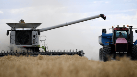 Цены на зерно в Украине — сколько стоит ячмень в марте - 285x160