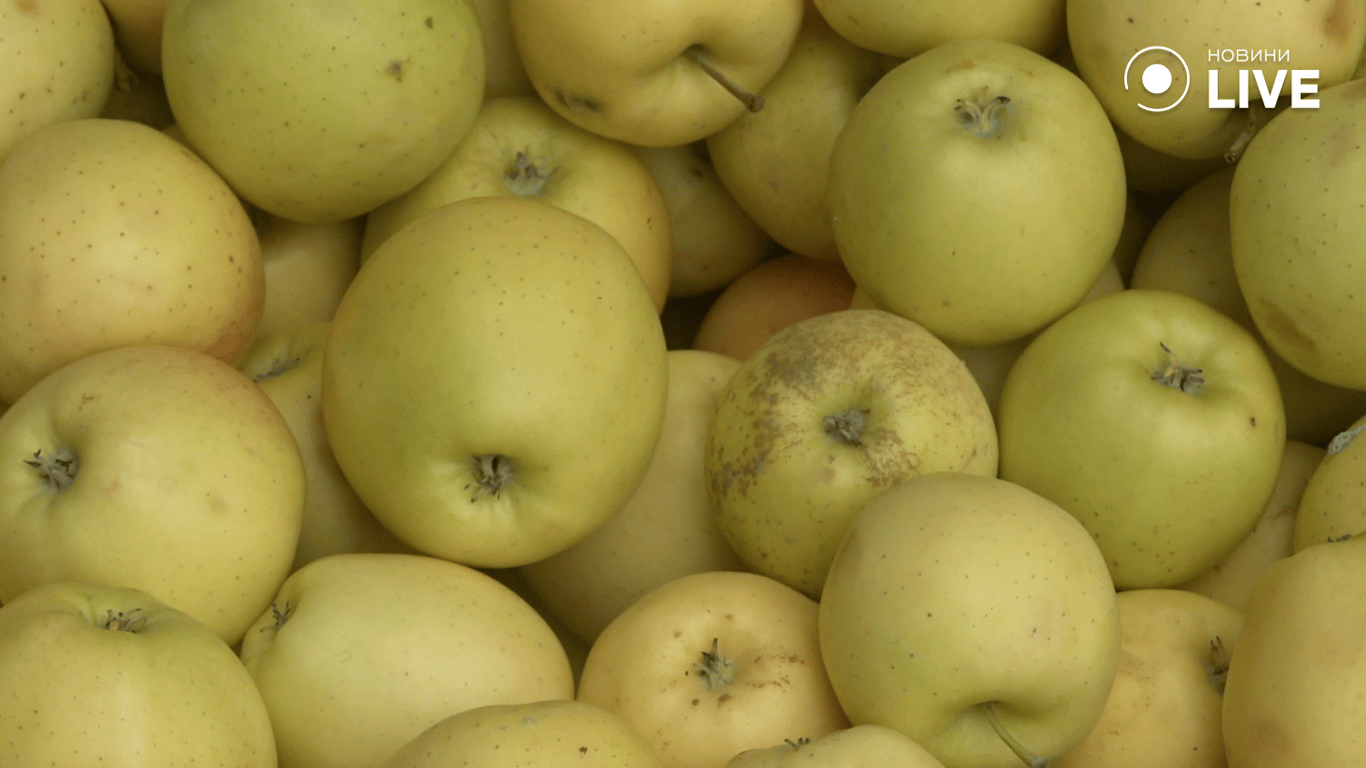 Асортимент яблук на базарі