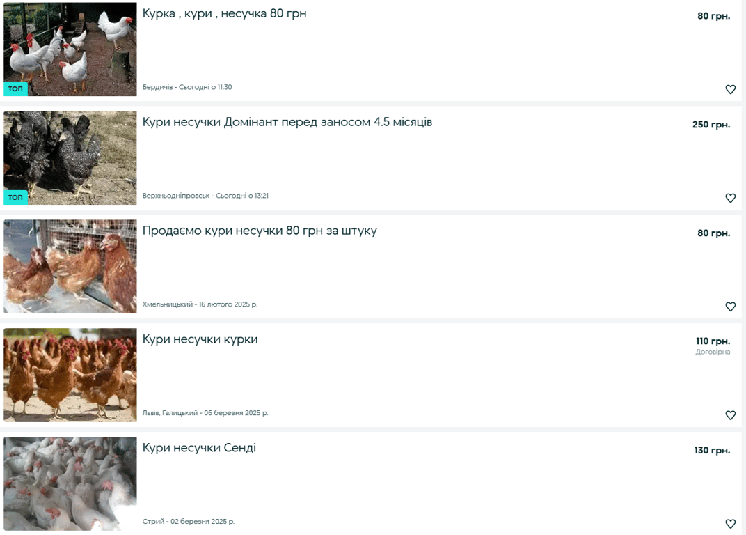 Від дефіциту до оренди курей — що відбувається з цінами на яйця - фото 4