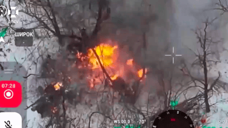 Пограничники показали удары по оккупантах и технике — видео - 290x166