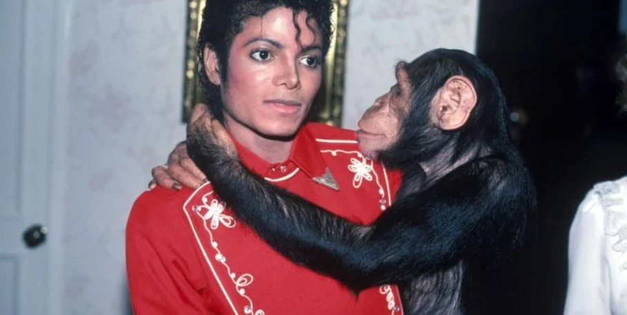 Годовщина смерти Майкла Джексона — малоизвестные интересные факты о короле поп-музыки - фото 2