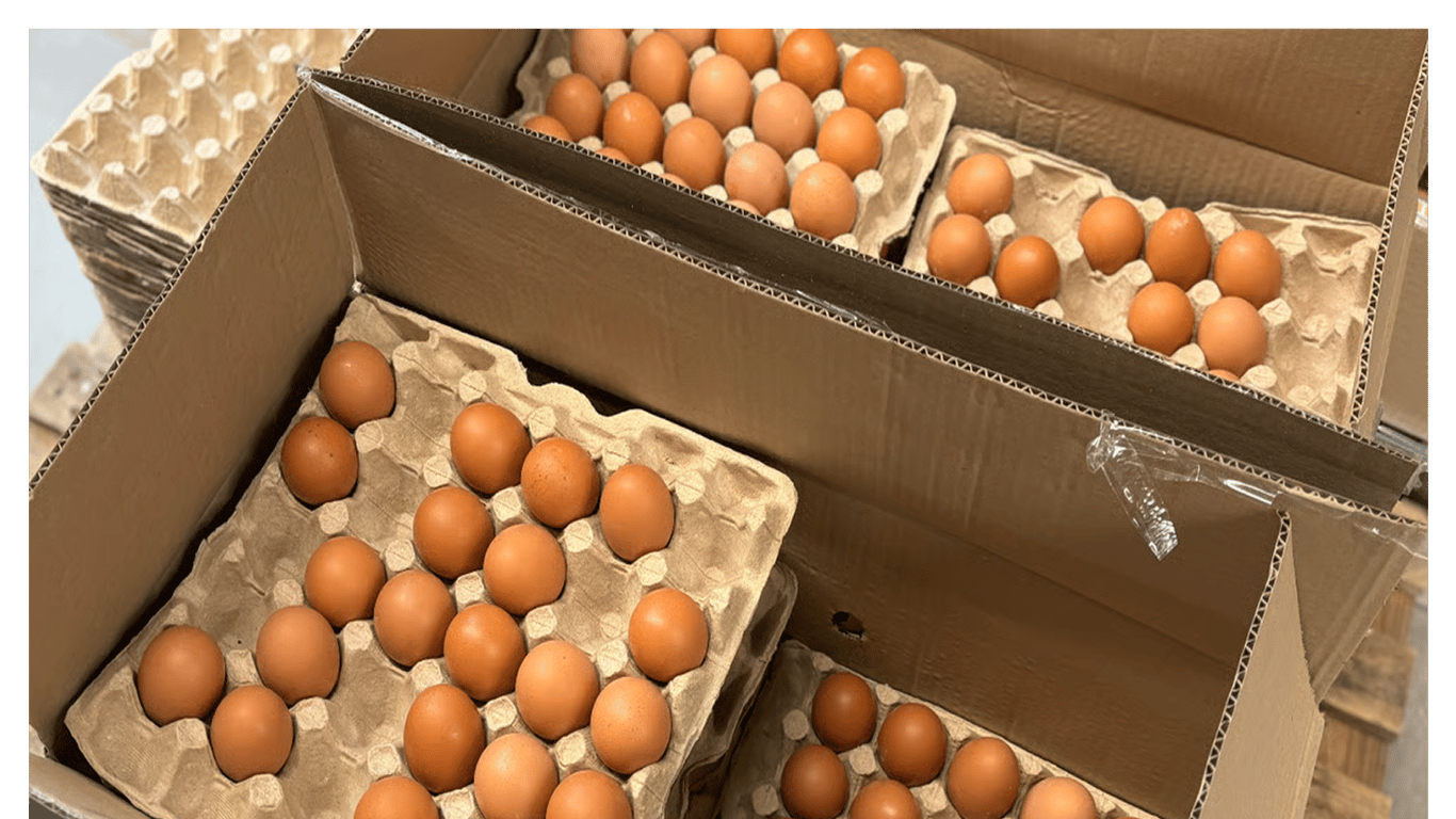 Яйця категорій C0 та C1 — в чому різниця та які обрати