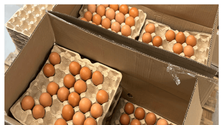 Яйця C0 чи C1: які смачніші, а які — вигідніші - 290x160