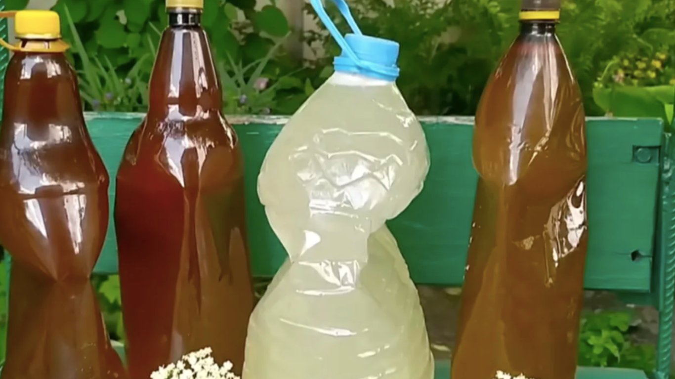 рецепт квасу з бузини