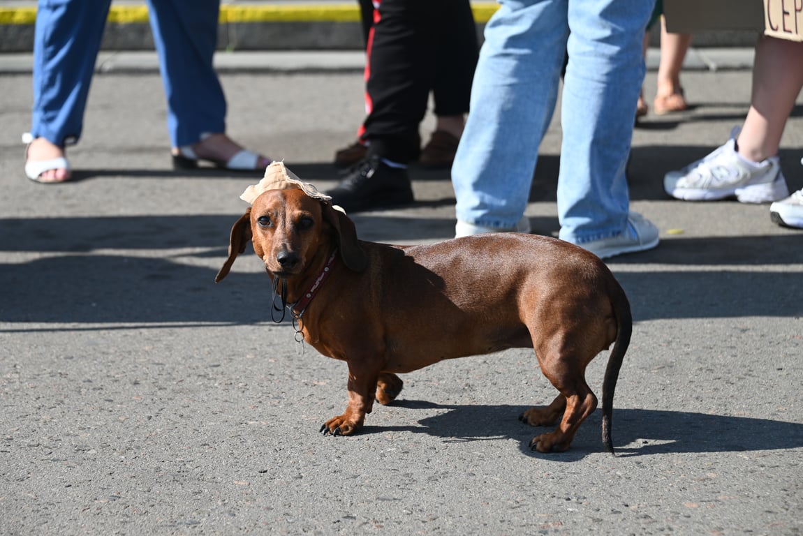 Одеса завмерла на хвилину, щоб вшанувати загиблих — фоторепортаж - фото 12