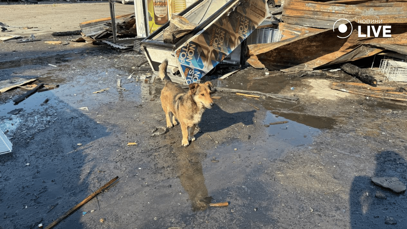Нічна атака на Одесу — бзе жертви не обійшлося - фото 6