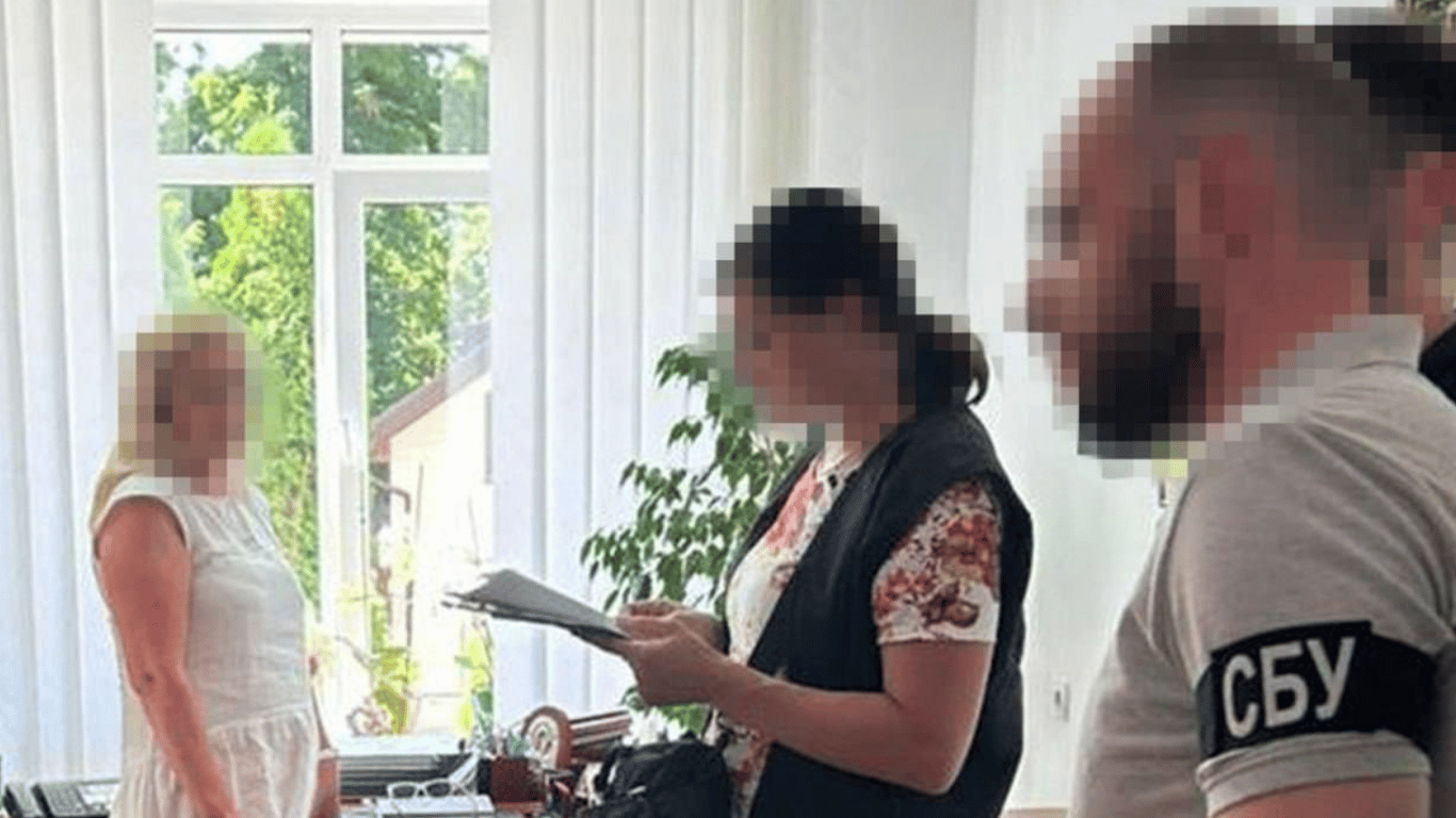 "Брала взятку и делала бизнес на уклонистах": на Житомирщине задержали главу ВВК
