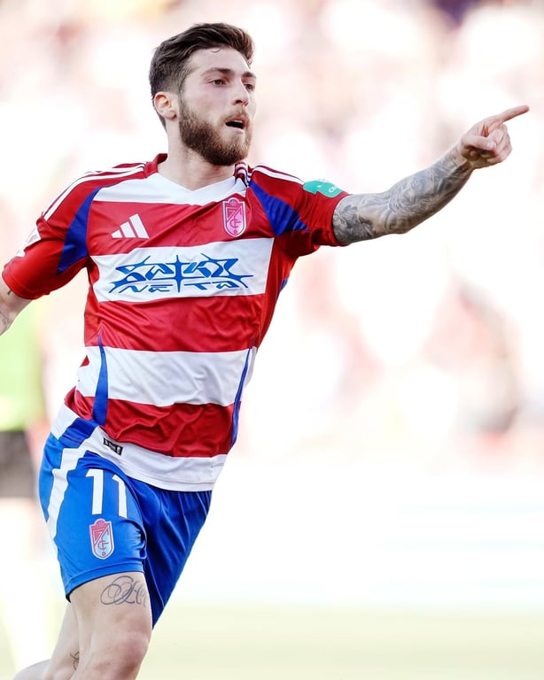 Георгий Цитаишвили