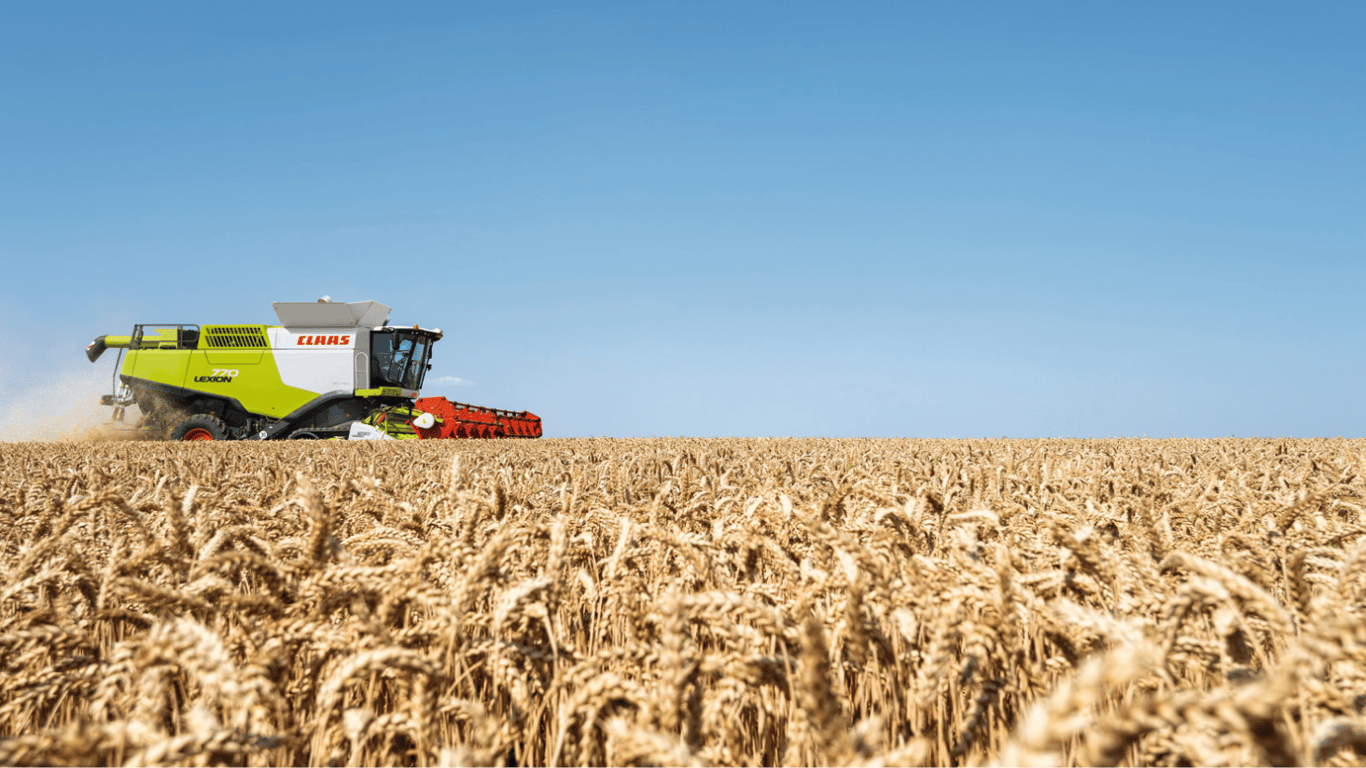 Ціни на зернові в Україні станом на 3 лютого 2024 року — скільки коштує тонна пшениці