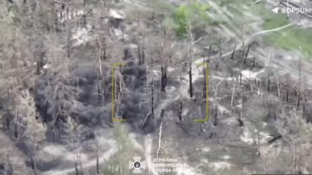 Пограничники показали, как уничтожают российскую пехоту на Купянском направлении - 285x160