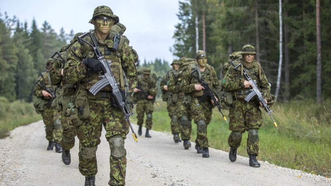 В уряді Естонії назвали умову введення своїх військ в України