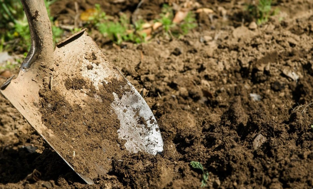 Перекапывание грунта на огороде