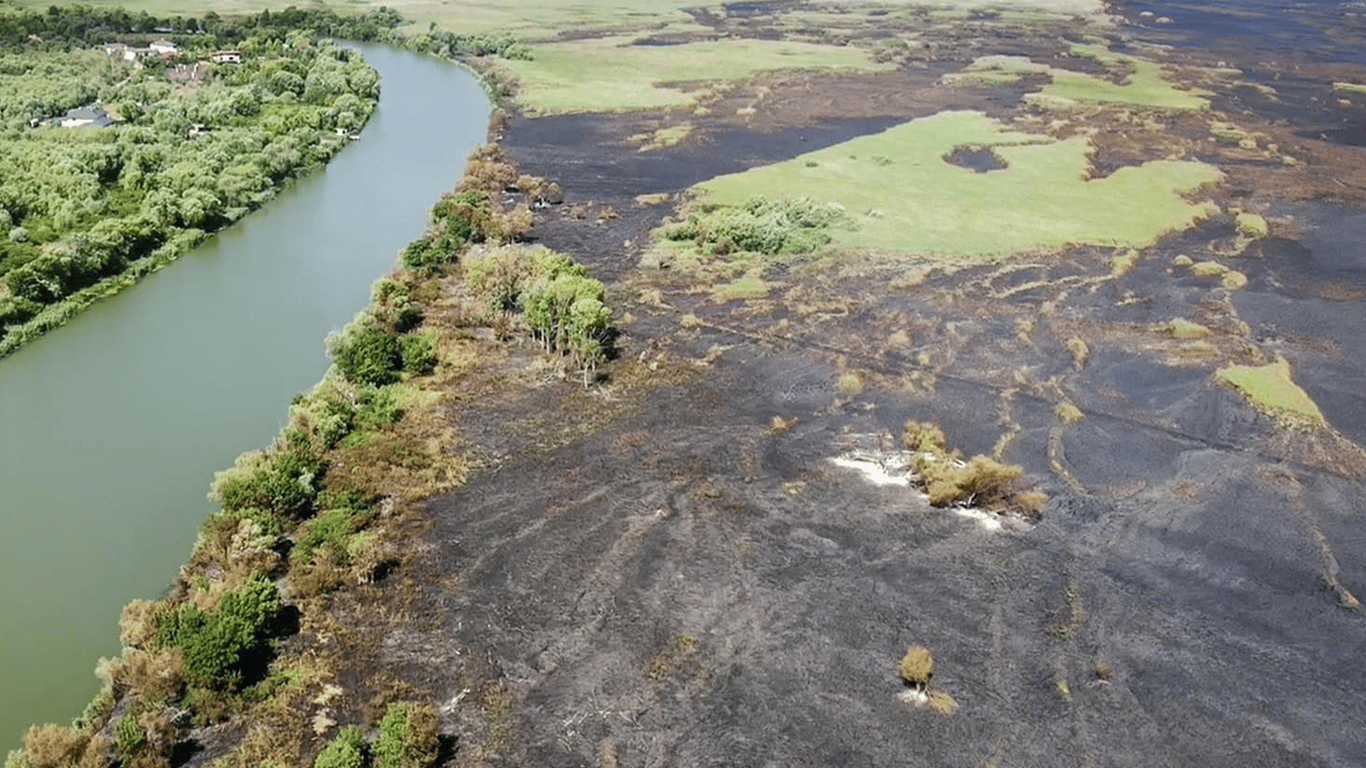 На Одещині горить очерет