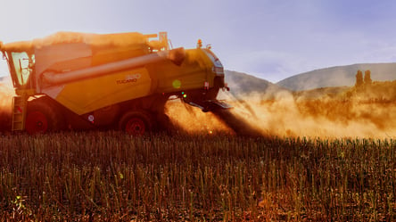 Ціни на зерно в Україні — скільки коштує пшениця у березні - 290x166
